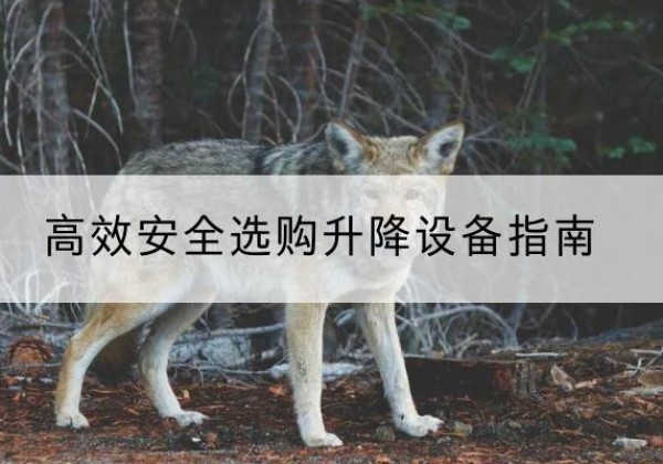 剑河升降货梯厂家推荐-*安全选购升降设备指南
