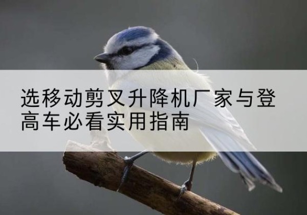 剑河电动升降机厂家-选移动剪叉升降机厂家与登高车必看实用指南